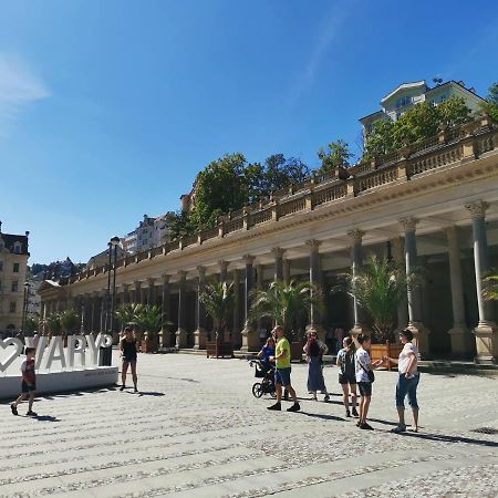 Ubytovani Ester - Utulny Byt V Lazenskem Centru Karlovych Varu Se Zahradkou Apartman Karlovy Vary Kültér fotó