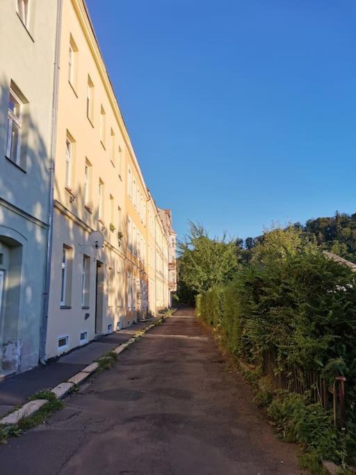 Ubytovani Ester - Utulny Byt V Lazenskem Centru Karlovych Varu Se Zahradkou Apartman Karlovy Vary Kültér fotó