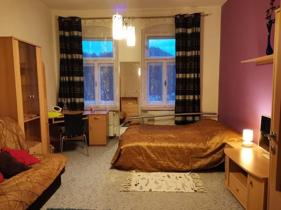 Ubytovani Ester - Utulny Byt V Lazenskem Centru Karlovych Varu Se Zahradkou Apartman Karlovy Vary Kültér fotó