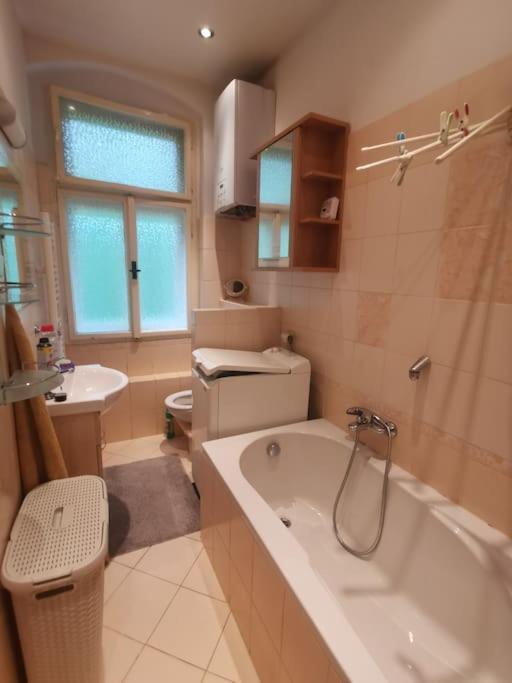 Ubytovani Ester - Utulny Byt V Lazenskem Centru Karlovych Varu Se Zahradkou Apartman Karlovy Vary Kültér fotó