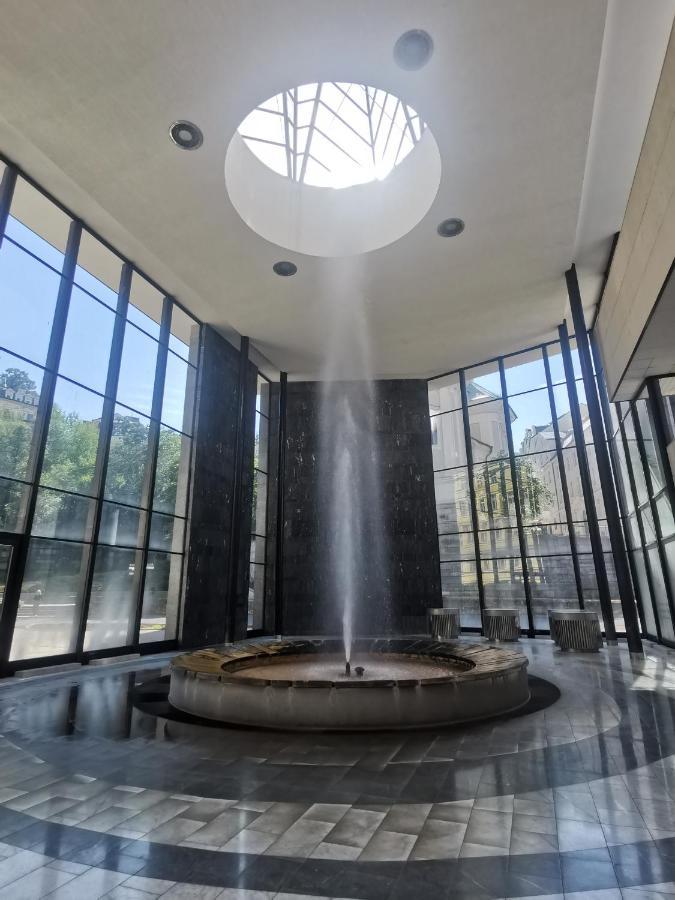 Ubytovani Ester - Utulny Byt V Lazenskem Centru Karlovych Varu Se Zahradkou Apartman Karlovy Vary Kültér fotó