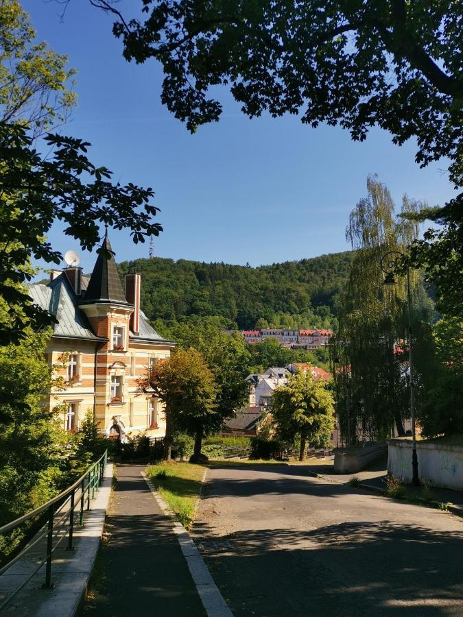 Ubytovani Ester - Utulny Byt V Lazenskem Centru Karlovych Varu Se Zahradkou Apartman Karlovy Vary Kültér fotó