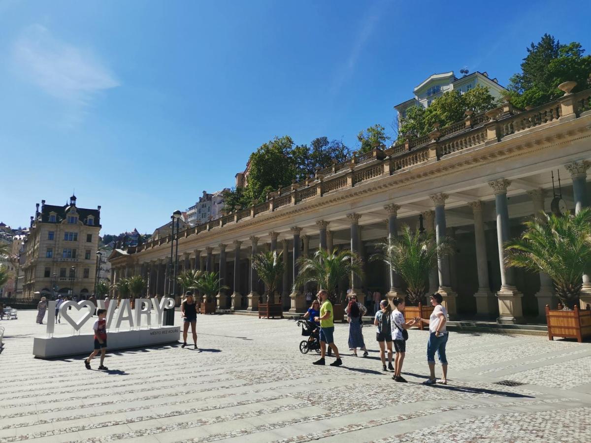 Ubytovani Ester - Utulny Byt V Lazenskem Centru Karlovych Varu Se Zahradkou Apartman Karlovy Vary Kültér fotó