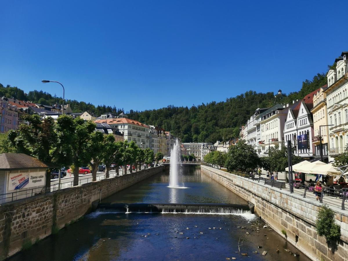 Ubytovani Ester - Utulny Byt V Lazenskem Centru Karlovych Varu Se Zahradkou Apartman Karlovy Vary Kültér fotó